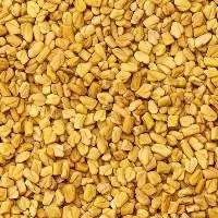 Fenugreek