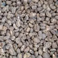 Arabica Gayo Raw Coffee Beans Grade 1