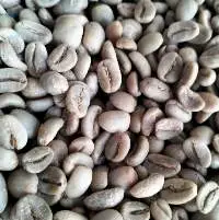 Raw Luwak Coffee Gayo