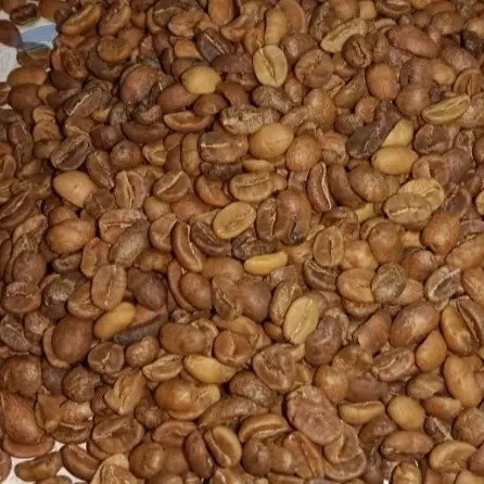 Raw Arabica Wine Coffee Gayo
