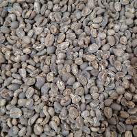Arabica Gayo Raw Coffee Beans