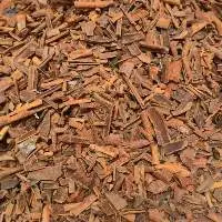 Cinnamon Broken