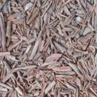 Cinnamon Broken