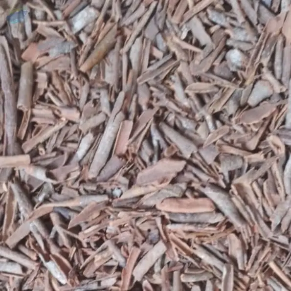 Cinnamon Broken