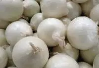 White Onion