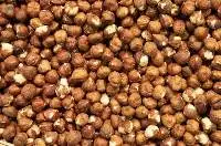 Hazelnut 