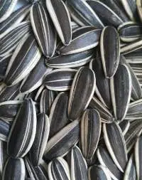 Sunflower Seeds