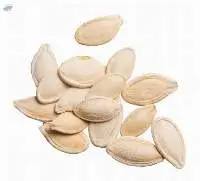 Pumpkin Seeds