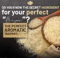 Rice