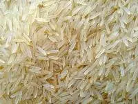 Rice Ari6
