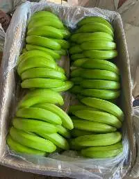 Banana Grand Nain