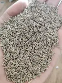 Cumin Seeds