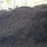 Teak Leaf Mold (humus)