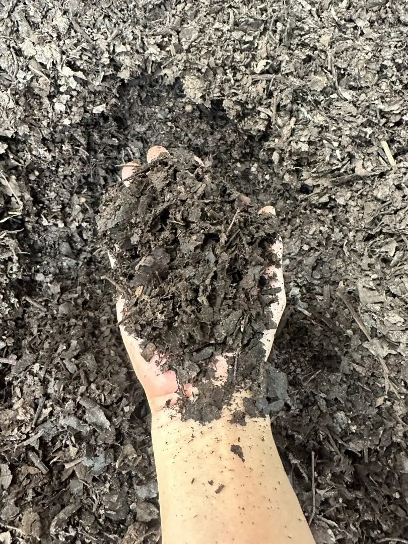 Teak Leaf Mulch