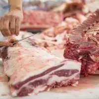 Frozen Beef Exporters