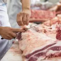 Frozen Pork Parts
