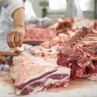 Brazilian Pork Exporters