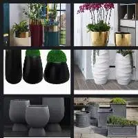 flower pot