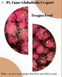 Dragon Fruit