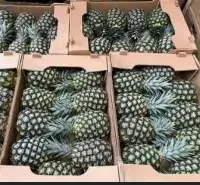 Pineapple Honey