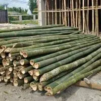 Bamboo Poles