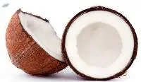 Coconut