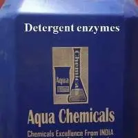 Detergent Enzyme