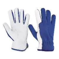 Working Gloves AE-103401