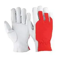 Working Gloves AE-103402