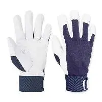 Working Gloves AE-103403