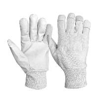 Working Gloves AE-103404