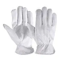 Working Gloves AE-103407