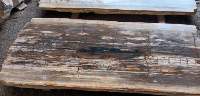 Petrified Wood Slab / Counter Tops