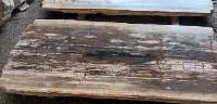 Petrified Wood Slab / Counter Tops