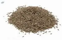Cumin Seeds