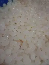 Sugar Palm Fruit / Kaong
