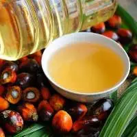 RBD Palm Oil CP8