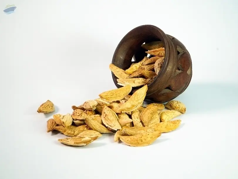 Afghan Almonds (in shell)