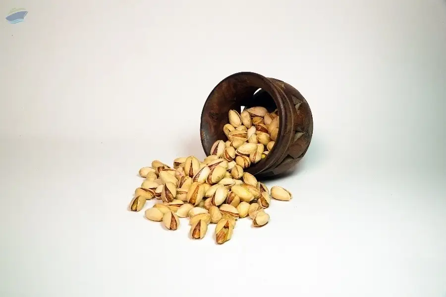 Afghan Pistachios