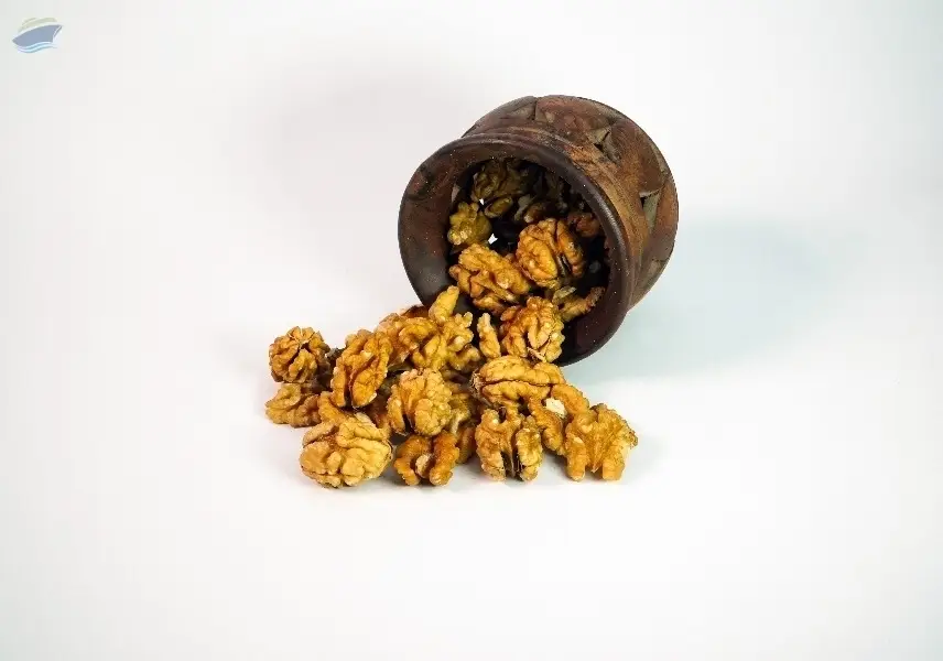 Afghan Walnuts Kernel (Unshelled)