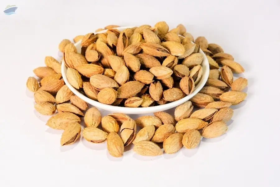 Uzbekistan Almonds (in Shell)