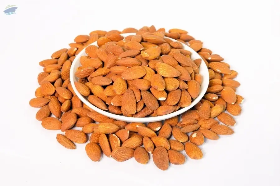 Uzbekistan Almonds (without Shell)