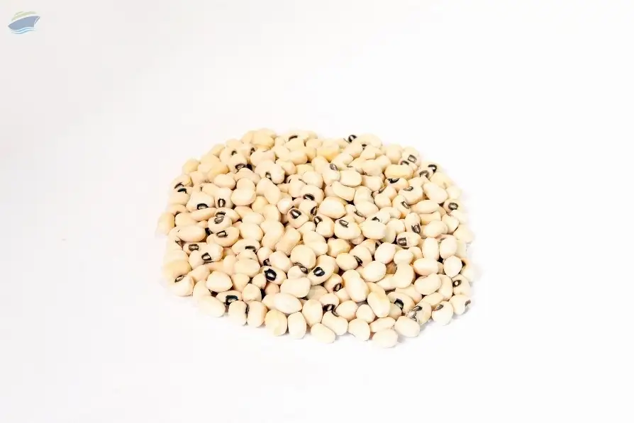 Uzbekistan Black Eyed Beans
