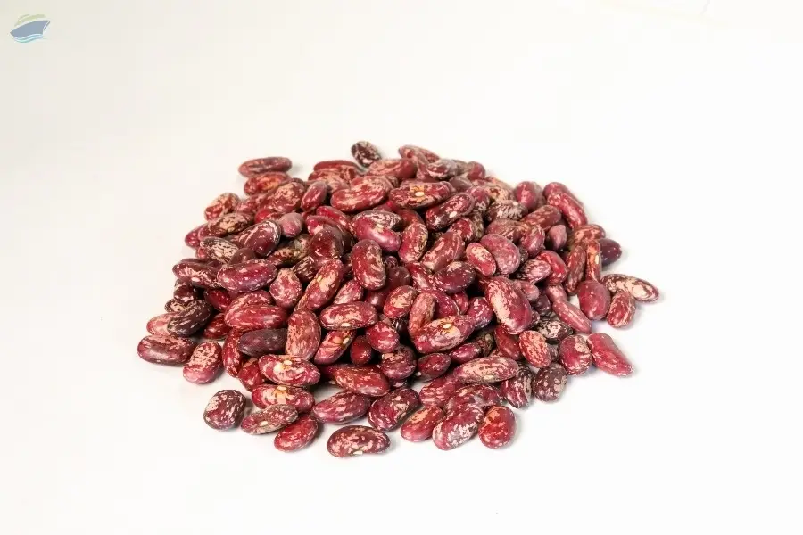 Uzbekistan Kidney Beans (Red Speckled)