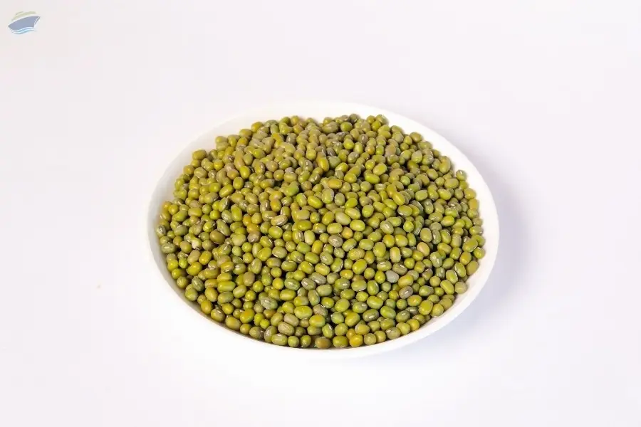 Uzbekistan Green Mung Beans (Calibration A 4+)