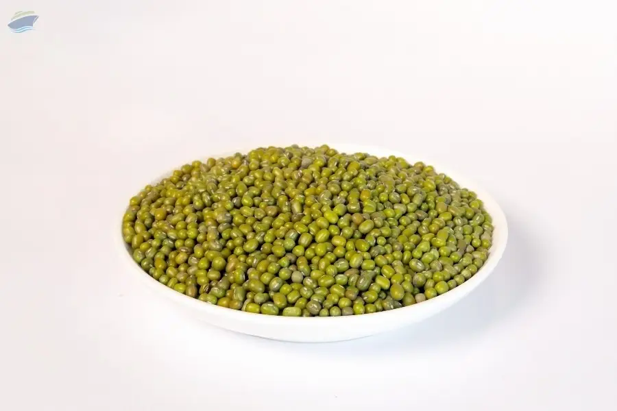 Uzbekistan Mung Beans (Calibration A 3+)