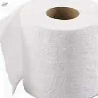 Toilet paper roll, Toilet rolls