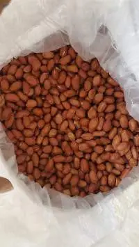 Groundnut Seeds