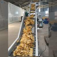 Konjac Chips