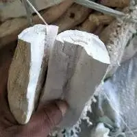 Cassava